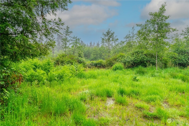 28754 State Route 525, Coupeville, WA 98239 - photo 6