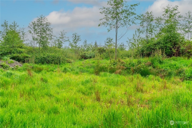 28754 State Route 525, Coupeville, WA 98239 - photo 10