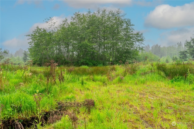 28754 State Route 525, Coupeville, WA 98239 - photo 11