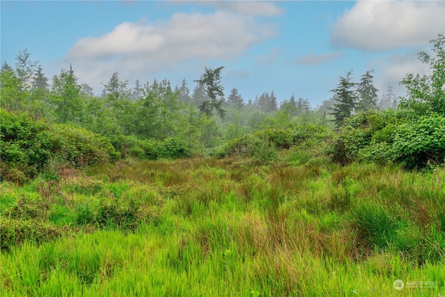 28754 State Route 525, Coupeville, WA 98239 - photo 15