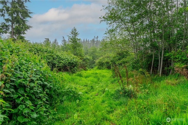 28754 State Route 525, Coupeville, WA 98239 - photo 16