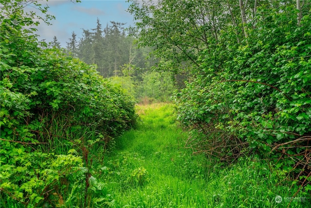 28754 State Route 525, Coupeville, WA 98239 - photo 17