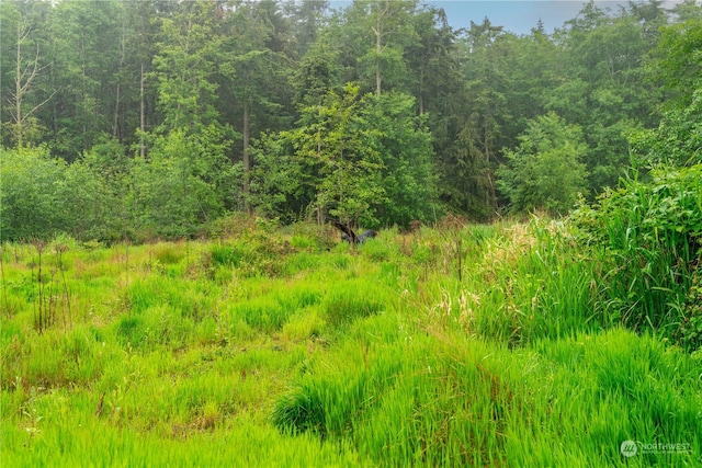 28754 State Route 525, Coupeville, WA 98239 - photo 18