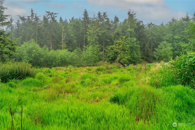 28754 State Route 525, Coupeville, WA 98239 - photo 19