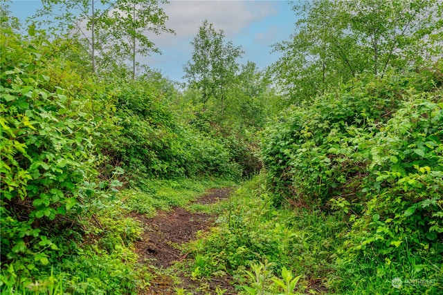 28754 State Route 525, Coupeville, WA 98239 - photo 20