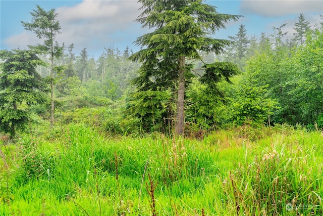 28754 State Route 525, Coupeville, WA 98239 - photo 21