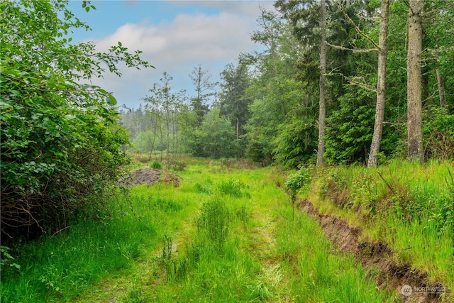 28754 State Route 525, Coupeville, WA 98239 - photo 23