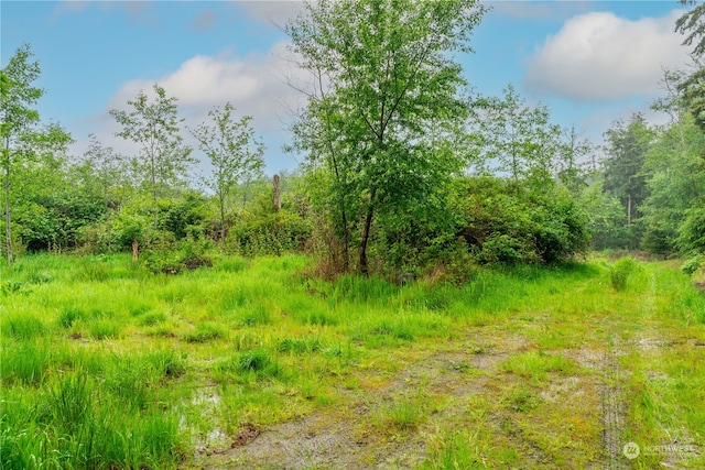 28754 State Route 525, Coupeville, WA 98239 - photo 8
