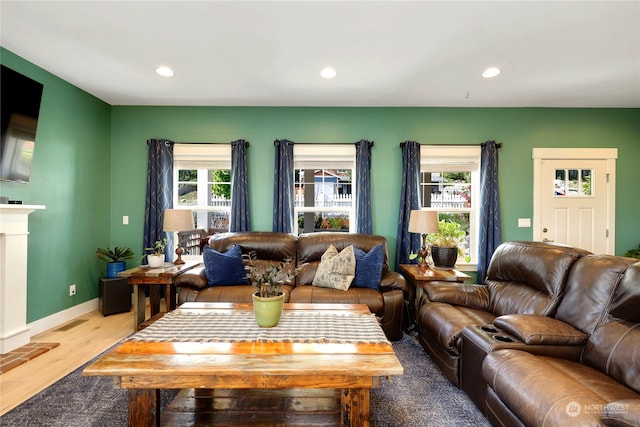 living room with hardwood / wood-style flooring and a healthy amount of sunlight