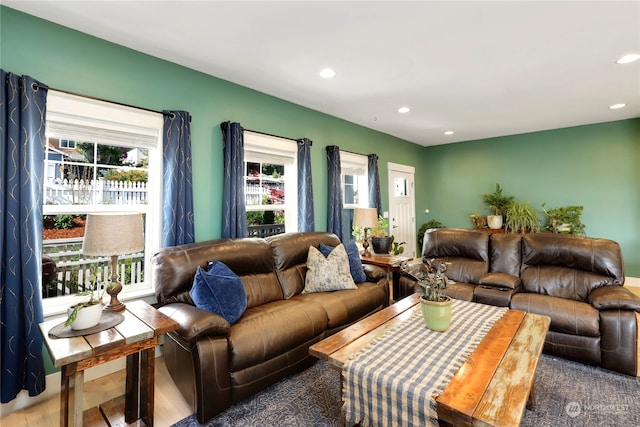 living room featuring hardwood / wood-style flooring