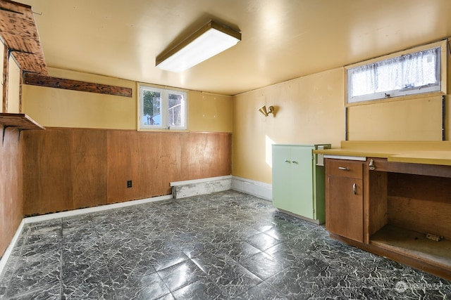 basement with wooden walls