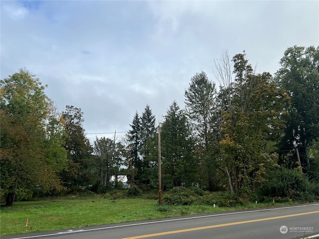 218 Park St, Shelton WA, 98584 land for sale