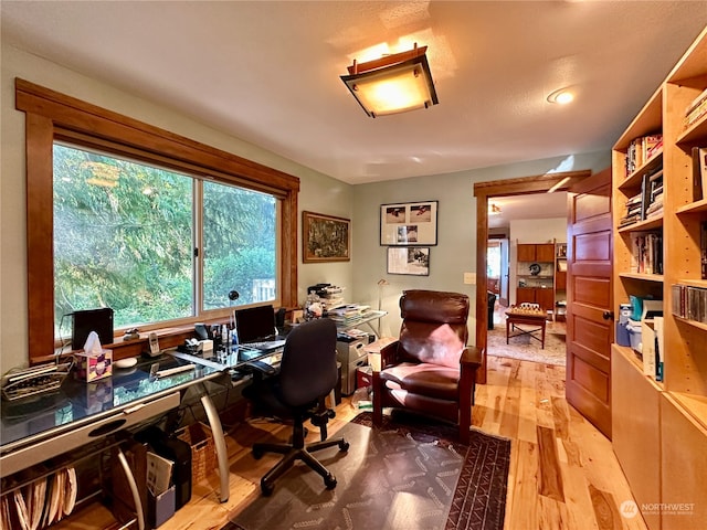 office space featuring wood-type flooring