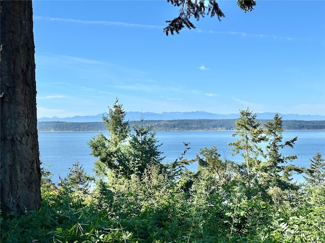 property view of water featuring a mountain view