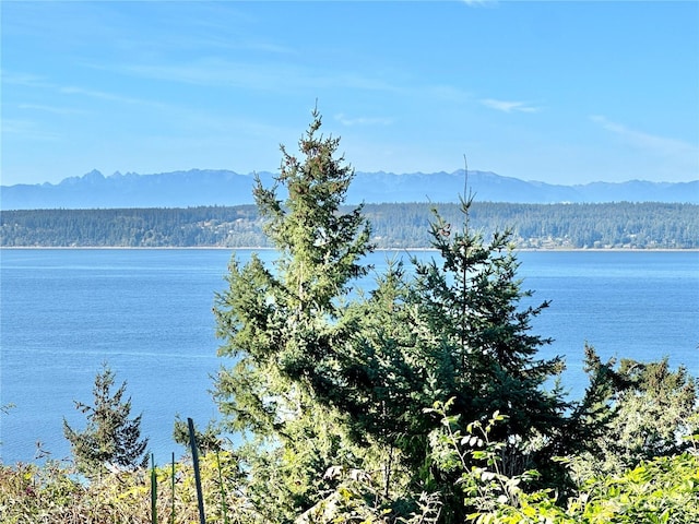 view of water feature with a mountain view and a view of trees