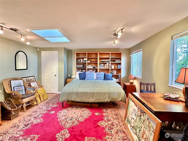 bedroom featuring multiple windows, rail lighting, and a skylight