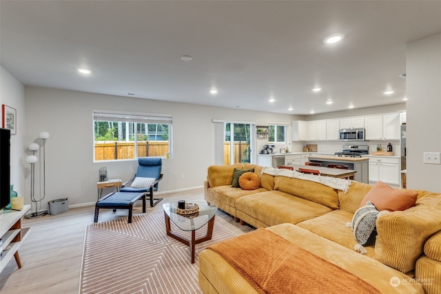 living room featuring light hardwood / wood-style flooring