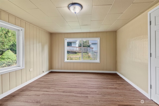 empty room with light wood-type flooring and plenty of natural light