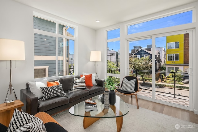 living room with hardwood / wood-style floors