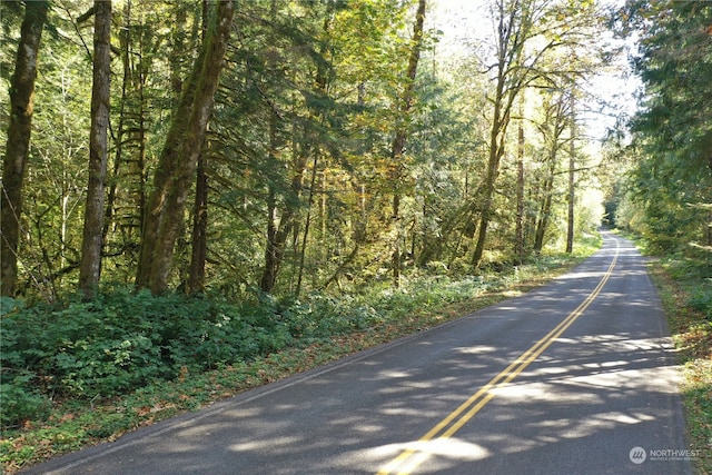 0 Index Galina Rd, Index, WA 98526 - photo 1