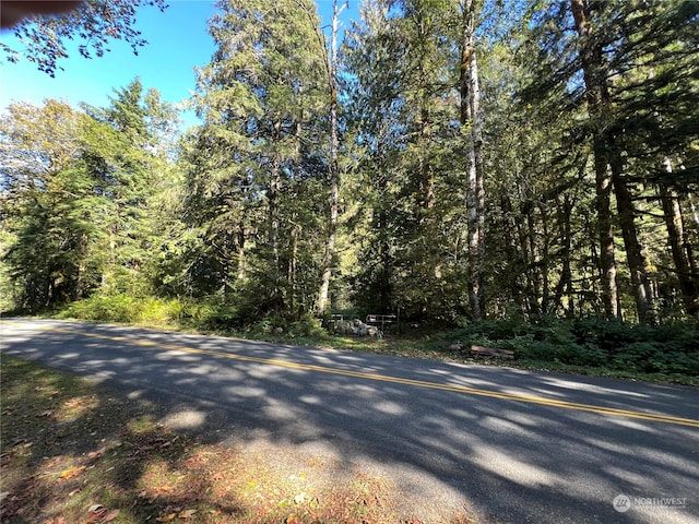 0 Index Galina Rd, Index, WA 98526 - photo 3