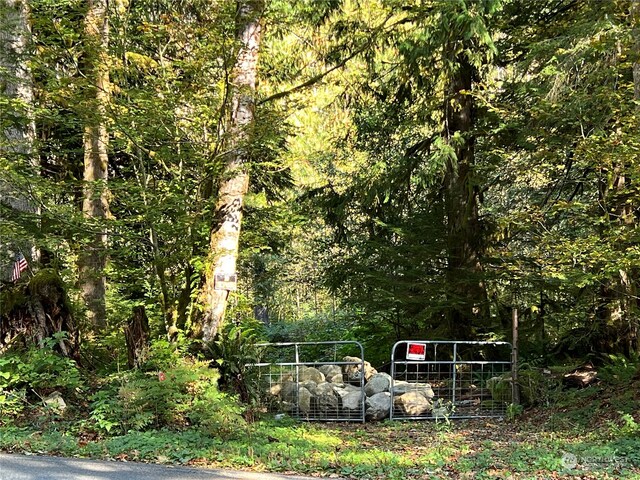 0 Index Galina Rd, Index, WA 98526 - photo 4