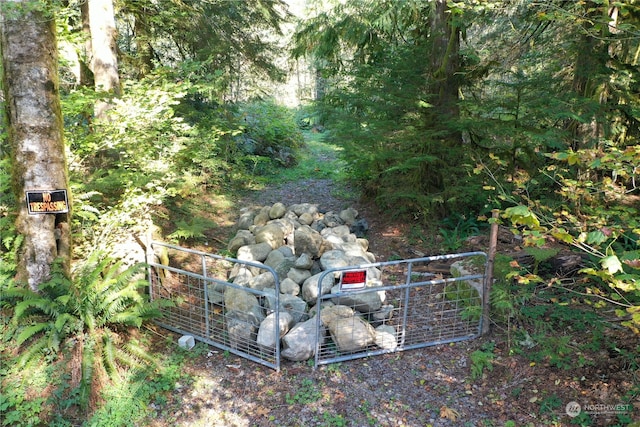 0 Index Galina Rd, Index, WA 98526 - photo 5