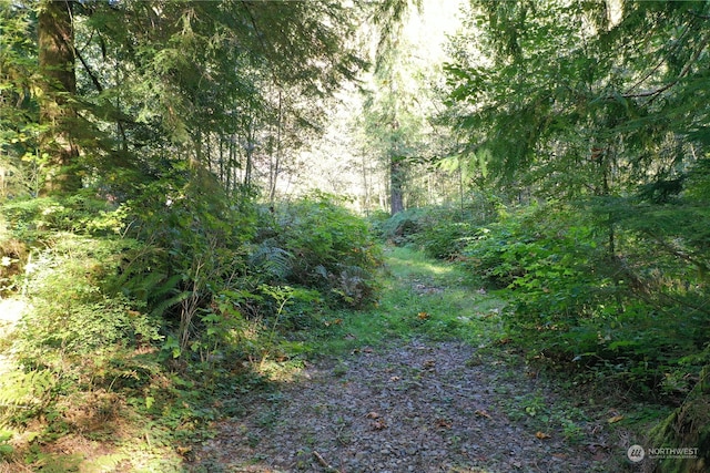 0 Index Galina Rd, Index, WA 98526 - photo 7