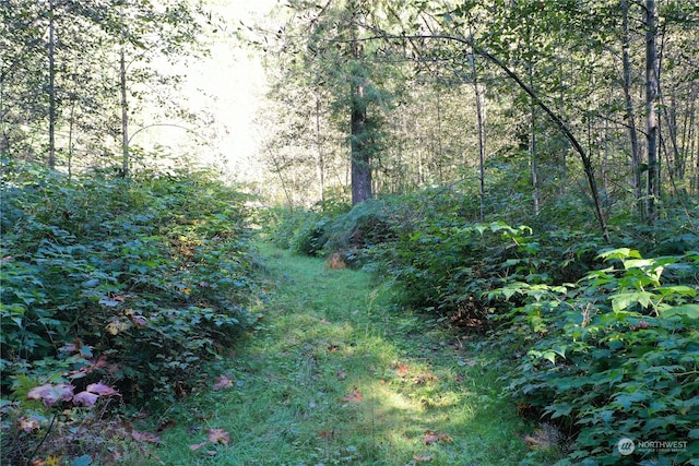 0 Index Galina Rd, Index, WA 98526 - photo 8