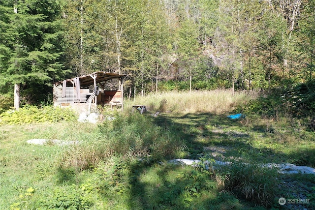 0 Index Galina Rd, Index, WA 98526 - photo 11