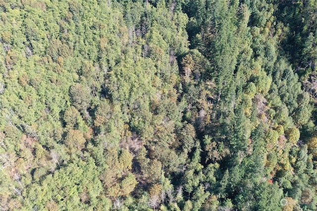0 Index Galina Rd, Index, WA 98526 - photo 12