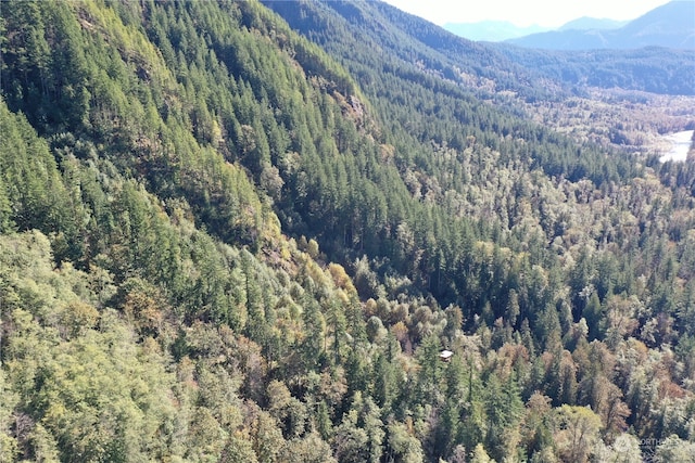 0 Index Galina Rd, Index, WA 98526 - photo 13