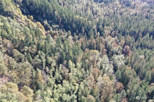 0 Index Galina Rd, Index, WA 98526 - photo 14