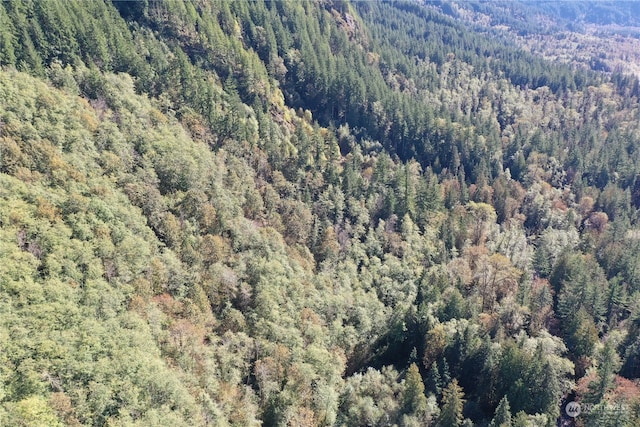 0 Index Galina Rd, Index, WA 98526 - photo 15