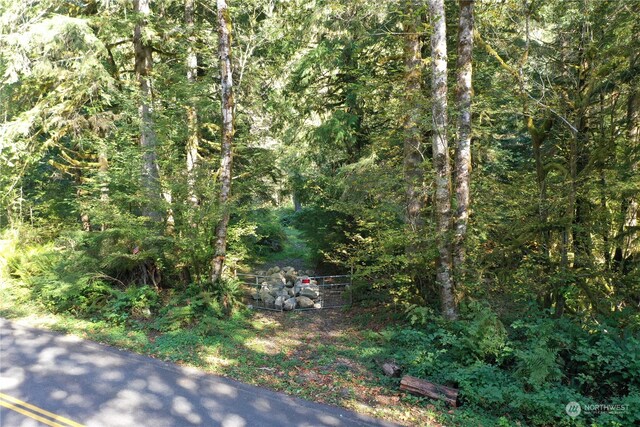0 Index Galina Rd, Index, WA 98526 - photo 16