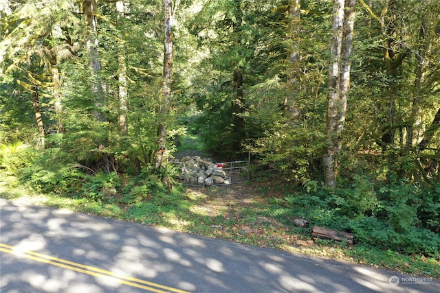 0 Index Galina Rd, Index, WA 98526 - photo 17