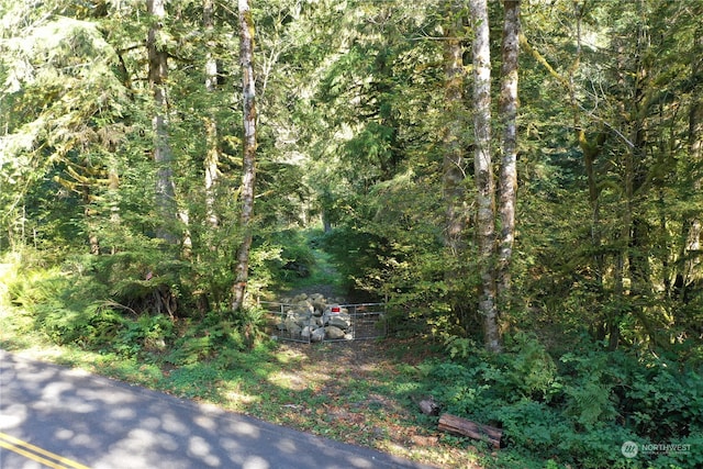 0 Index Galina Rd, Index, WA 98526 - photo 18