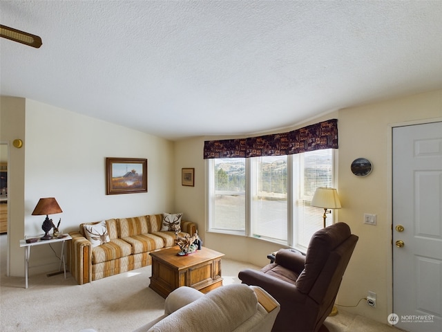 living room with carpet floors and a textured ceiling