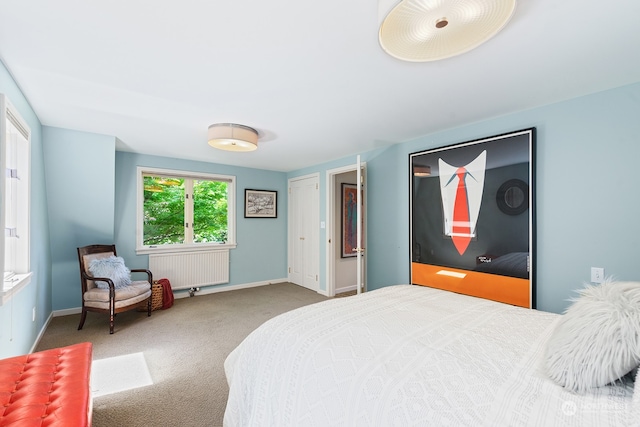 1406 Mcgilvra Blvd E, Seattle, WA 98112 - bedroom with radiator and carpet