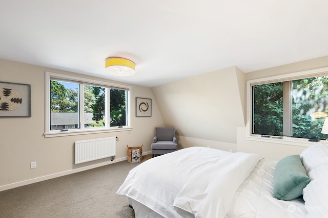 1406 Mcgilvra Blvd E, Seattle, WA 98112 - carpeted bedroom with radiator heating unit and vaulted ceiling