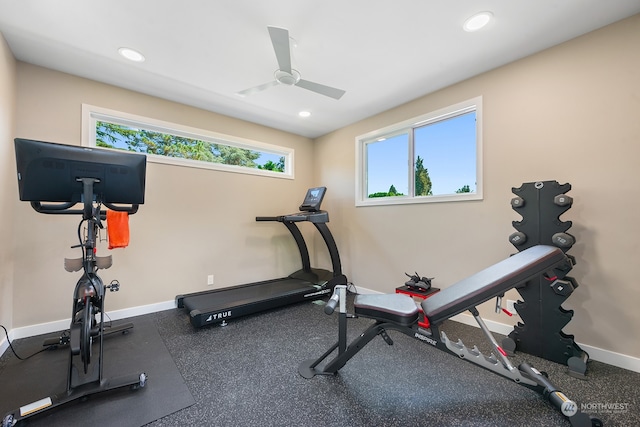 1406 Mcgilvra Blvd E, Seattle, WA 98112 - exercise area featuring ceiling fan and plenty of natural light