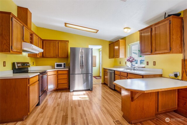 kitchen with light hardwood / wood-style flooring, lofted ceiling, appliances with stainless steel finishes, and sink