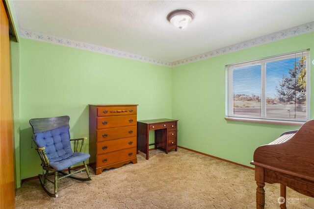 sitting room featuring light carpet