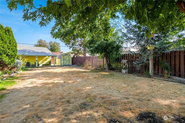 view of yard featuring a shed