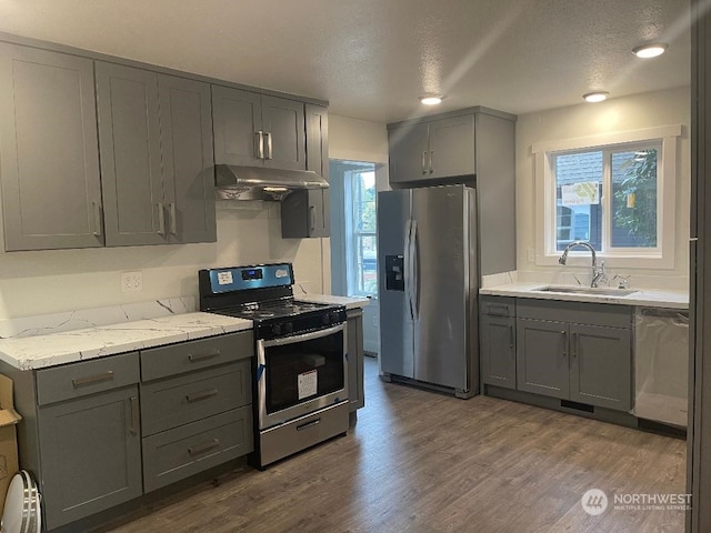 kitchen featuring sink, dark hardwood / wood-style flooring, stainless steel appliances, and a wealth of natural light