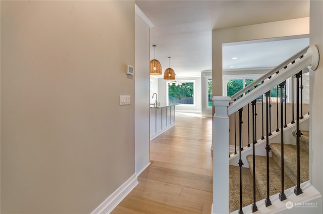 interior space featuring light wood-type flooring and sink