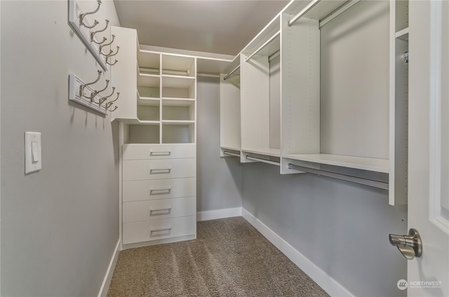 spacious closet with dark colored carpet