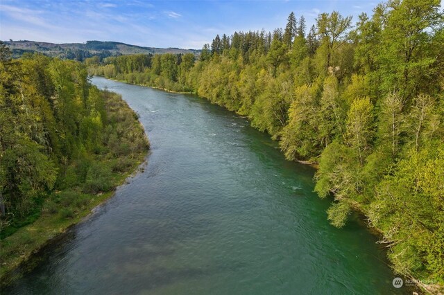 171 Barrier Dr, Salkum, WA 98582 - photo 6