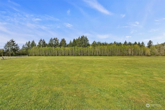 171 Barrier Dr, Salkum, WA 98582 - photo 39