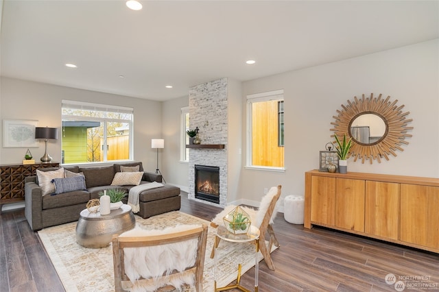 living room with a fireplace and dark hardwood / wood-style flooring